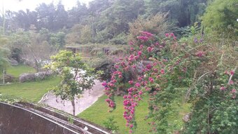 Bed & Breakfast Xitou Royal Villa