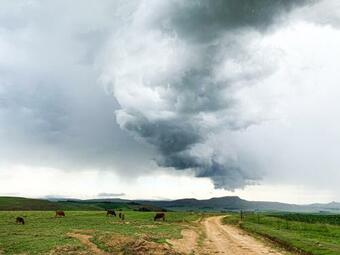 Agroturismo Penwarn Farm Lodge