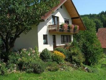 Apartamento Haus In Den Lauterwiesen