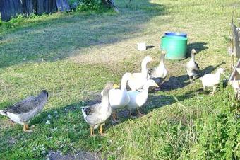 Holiday Home Harreberg - Els05019-f