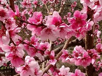 Hostal Napsug�r Vend�gh�z