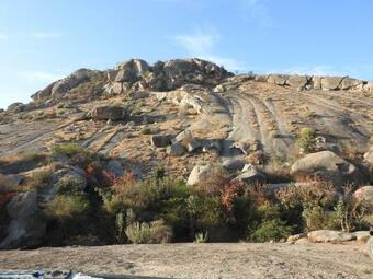 Aravali Nature Luxury Camp - Jawai