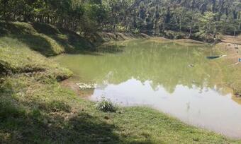 Deluxe Room Stay - Coorg Guest House