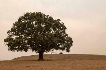 Baghvan Pench National Park - A Taj Safari Lodge