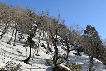 Albergue Thira Chanshal