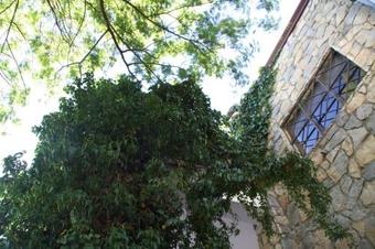 Hostal Villa Belvedere