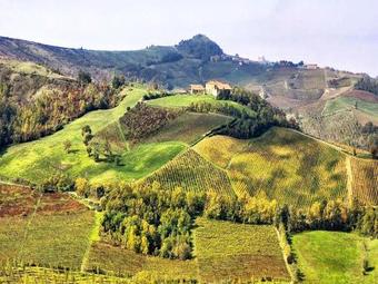 Villa Parva - Bordolese