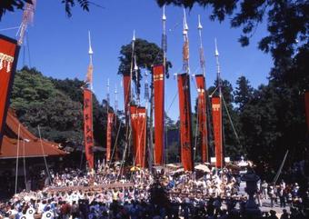 Minerva Nanao Fujinosesatoyamakan