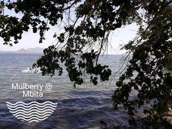 Lodge Mulberry Glamp