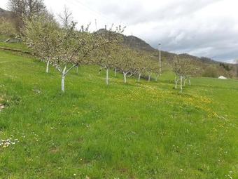 Lodge Country House Montenegro