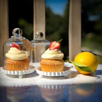 Bed & Breakfast Serenity Lodge