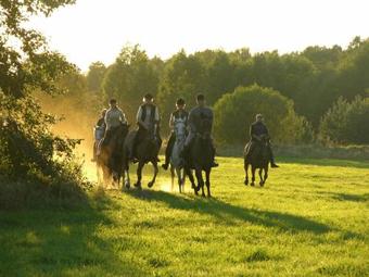 Apartamento Osir Wawrzkowizna