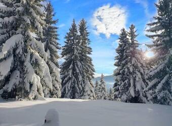 Apartman Zona Zlatar