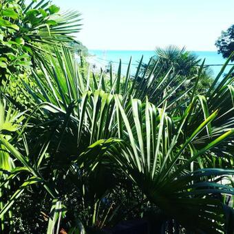 Chemitka Chemitokvadzhe Hotel