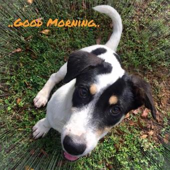 Hotel The Resort Kabinburi