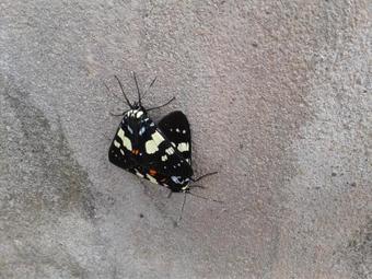 Bed & Breakfast Ban Paja