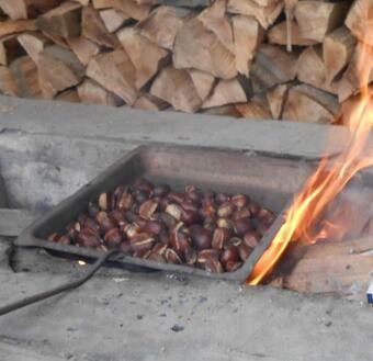 Hostal Guest House Marketti