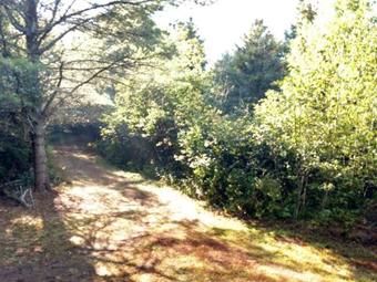 Tentrr - Piney Wood Hills