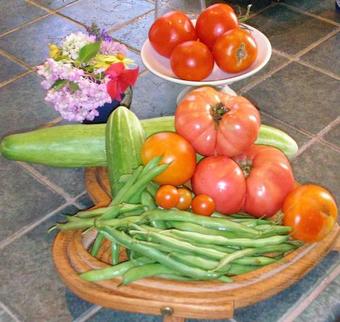 Bed & Breakfast The Pines Of Dresden