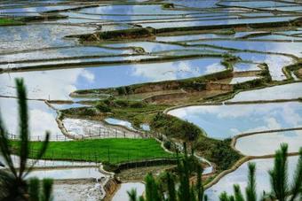 Mu Cang Chai Eco Lodge