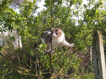 Apartamento Angolo Di Paradiso