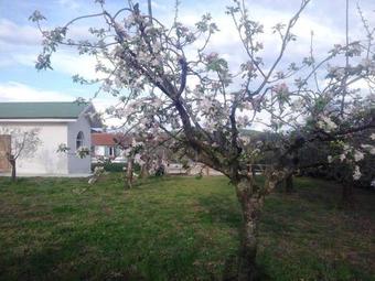 Bed & Breakfast La Piccola Fattoria