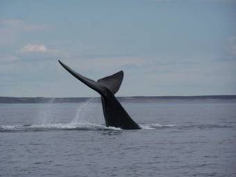 Posada Del Nomade Hosteria Ecologica