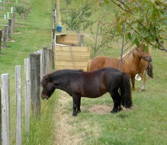Bed & Breakfast Retiro Park Lodge
