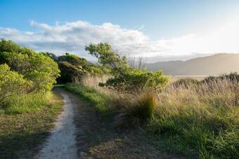 Golden Bay Hideaway