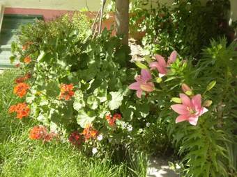 Apartamento Complejo Solar