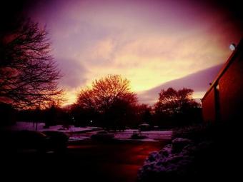 Hotel Apm Inn & Suites