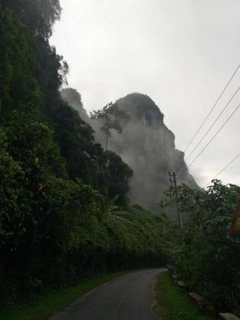 Ver fotos