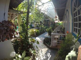 Hostal Zappia Cove Tourist Guest Houes