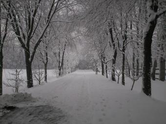 Agroturismo Agriturismo Cascina Bullona