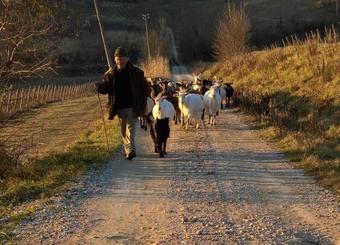 Agroturismo Azienda Agricola I Colli Di Marliano