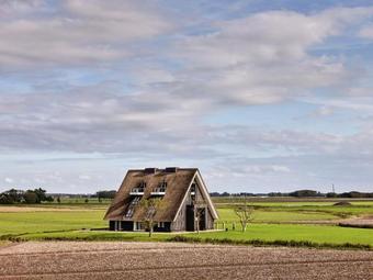 Luxurious Villa In Wierum With Jacuzzi