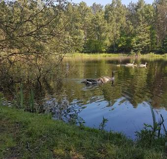 Hotel Vakantiepark Camping De Peelpoort