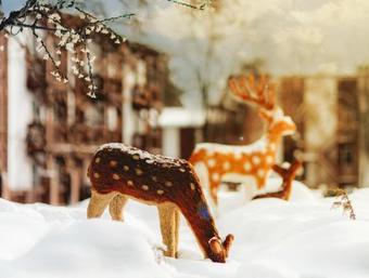 Hotel Yahonty Tarusa