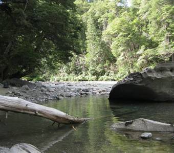 Apartamento Domo Santa Rita