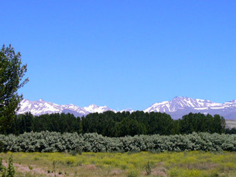 Lodge Caba�as Monte Coiron