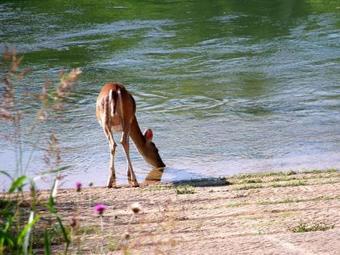 Colorado River Rv Campground