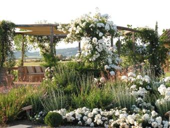 Bed & Breakfast Relais Sant'elena