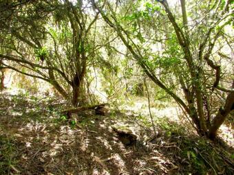 Caba�a En La Calera