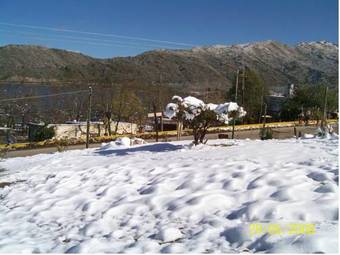 Lodge Caba�as Brisa Del Lago