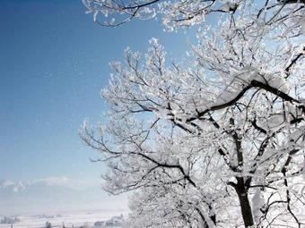 Bed & Breakfast Pension And Restaurant La Collina