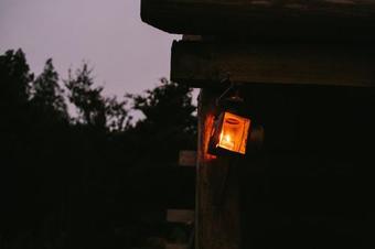 Wild Forest Estate Glamping