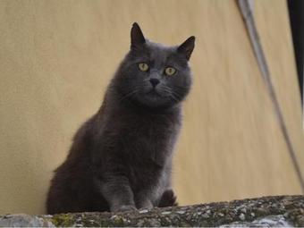 Agroturismo Villa Rinascimento Depandance