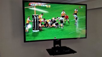 Hostal Ocean Park Guest House