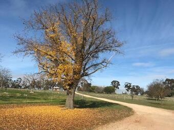 Agroturismo Lochinver Farm Homestead And Cottages