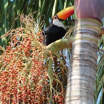 Posada Chales Dos Montes